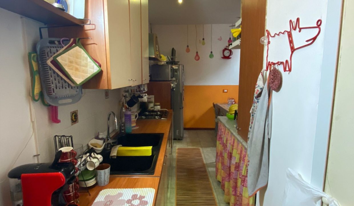 Immagine WhatsApp 2024-04-29 ore 15.12.35_d4b1707e